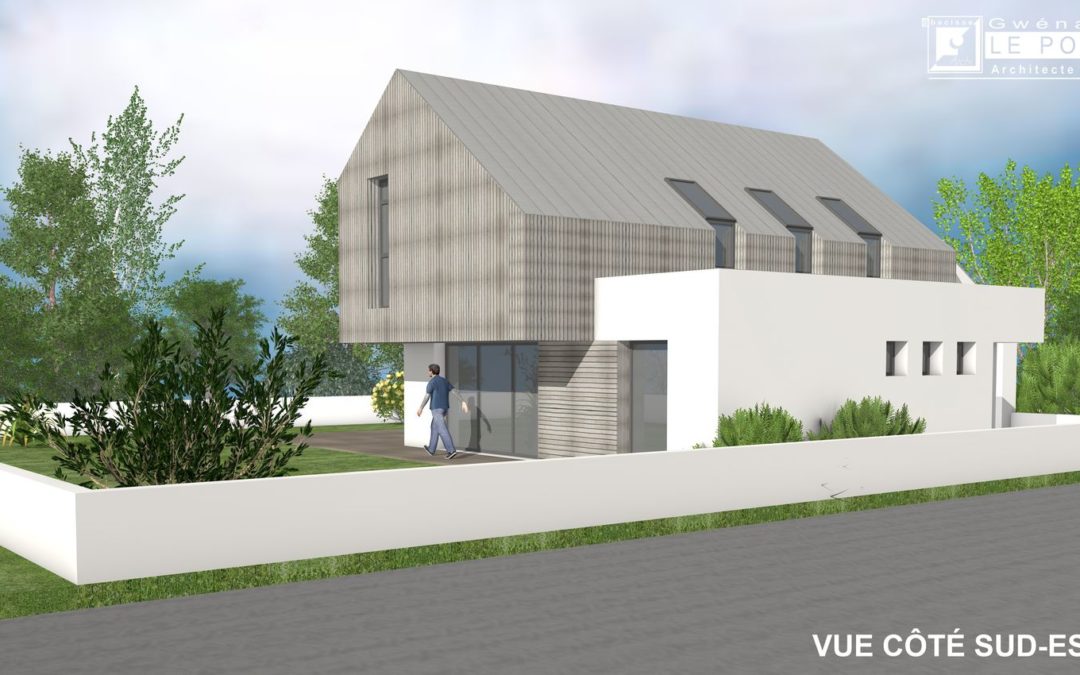 MAISON CONTEMPORAINE en ZINC